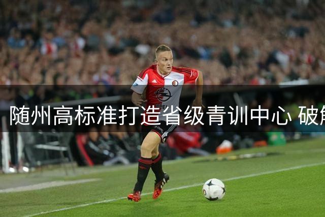 随州高标准打造省级青训中心 破解足球人才断层难题